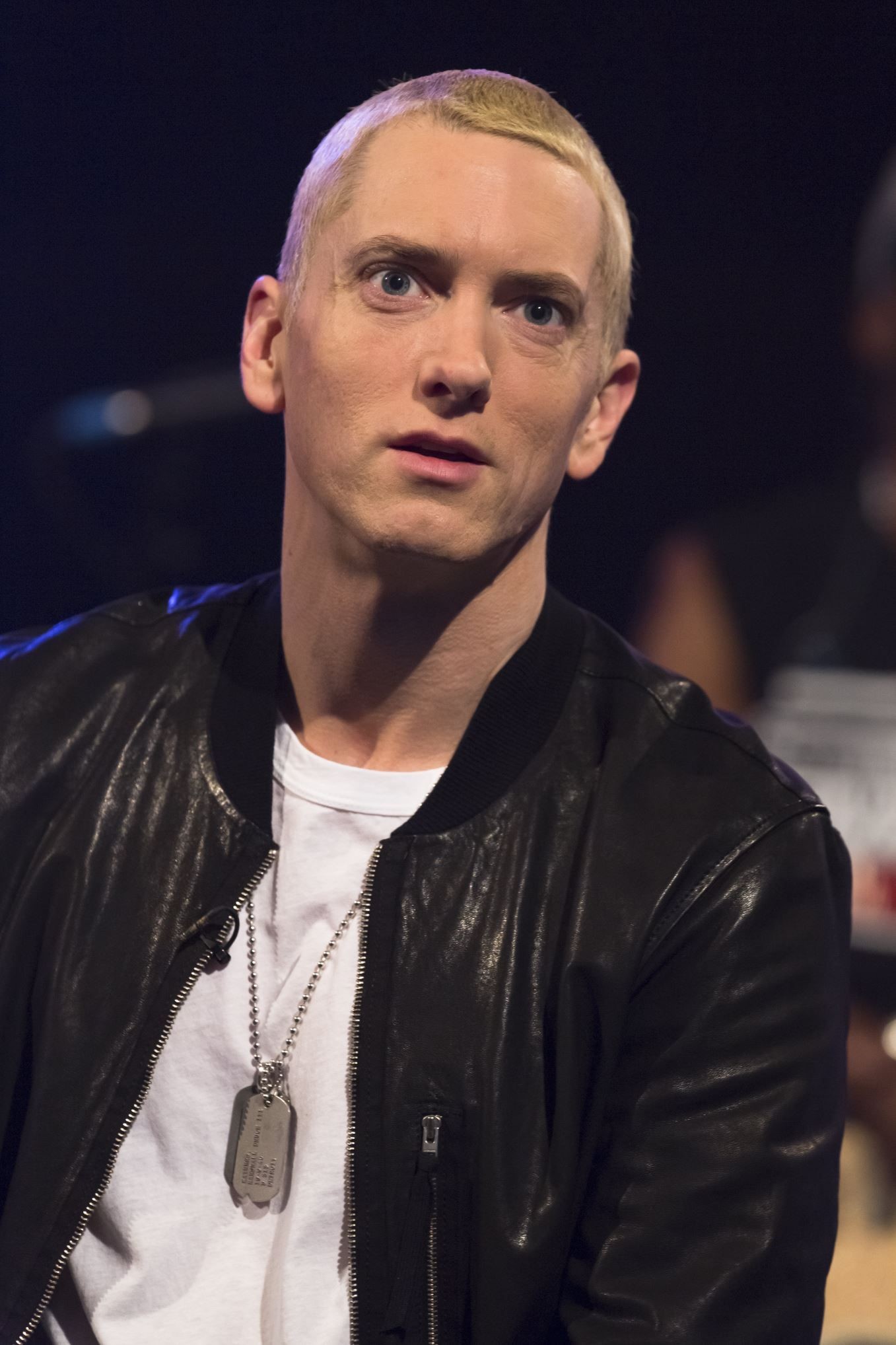 Eminem Biographies, Galleries, Wallpapers, Photos And Pictures