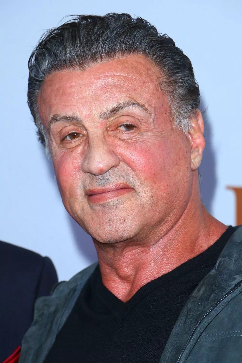 Sylvester Stallone - Biographies, Galleries, Wallpapers, Photos And ...